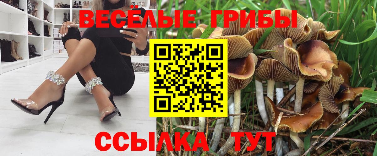 Галлюциногенные грибы GOLDEN TEACHER  Галлюциногенные грибы Psilocybe  Вход с VPN  Калач-на-Дону 