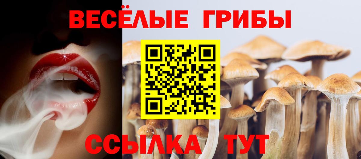 Галлюциногенные грибы мухоморы Калач-на-Дону