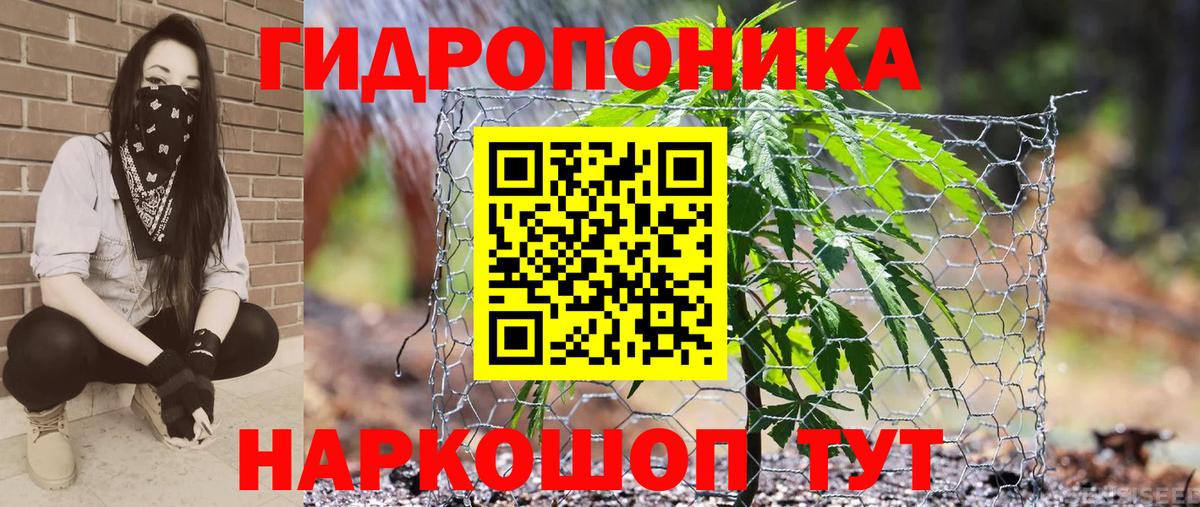МАРИХУАНА Bruce Banner  Вход с VPN  Калач-на-Дону  Марихуана гибрид 